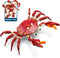 Ocean Animal Building Blocks, Deep Sea Creatures Building Toy Set for Kids Boy Girl Crab(242PCS)...