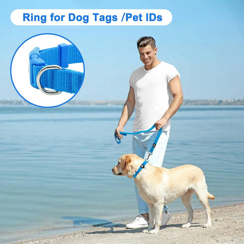 azuza 3 Pack Dog Collars Comfortable and Adjustable Nylon Dog Collars for for Small Dogs, S (11-16inch)?Green, Blue and Royal Blue...