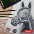 Pasler sketch graphite pencil set spanning 12 degrees (3H, 2H, H, HB, 2B, 3B, 4B, 5B, 6B, 7B, 8B, 9B) pre-sharpened pencils...