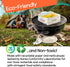 KN FLAX Paper Ramen Cooker, Boiling Portable Paper Camping pot for 2 person - Perfect for camping, fishing, hiking, office, or home (12 packs with...