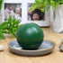 Zest Candle 6-Piece Ball Candles, 3-Inch, Hunter Green...