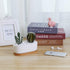 T4U 6.5 Inch Ceramic White Modern Oval Design Succulent Plant Pot/Cactus Plant Pot with Free Bamboo Tray...