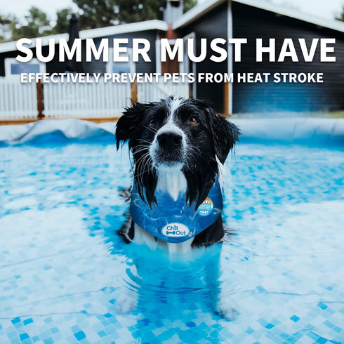 ALL FOR PAWS Cooling Neck Wraps for Dogs,Ice Dog Bandanas,Dog Cooling Dog Bandana,Chill Out Blue Dog Collar Dog Collar Cat Collar,Neck Cooler,Neck...