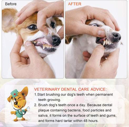 Double Headed Pet Dog Toothbrush for Small Dogs/Soft Bristles Puppy Long Handle Tooth Brush Dogs Teeth Cleaning/Bulk Toothbrushes Dental & Oral Ca...