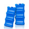 Teamoy Breastmilk Ice Pack (Pack of 2), Bottle Ice Packs for Breastmilk Storage and Breastfeeding Working Mom, Large...