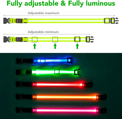LED Dog Collar, Light Up Dog Collar Adjustable USB Rechargeable Super Bright Safety Light Glowing Collars for Dogs(Medium,Green)...