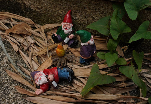 Danmu Polyresin Gnomes Garden Decorations, Garden Gnomes, Garden Gnomes Outdoor Clearance, Miniature Figurines, Fairy Garden Accessories, Fairy Ga...