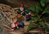 Danmu Polyresin Gnomes Garden Decorations, Garden Gnomes, Garden Gnomes Outdoor Clearance, Miniature Figurines, Fairy Garden Accessories, Fairy Ga...