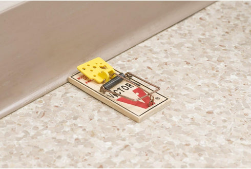 Victor Easy Set Mouse Trap (Pack of 10)...