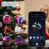 LVWIT Smart LED Bulbs, BR30 Wi-Fi Smart Light Bulb, E26 100W Replacement, Work with Alexa, Google Assistant, Tuya App, Dimmable 1300 Lumens RGB Co...