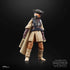 STAR WARS The Black Series Archive Princess Leia Organa (Boushh) Toy 6-Inch-Scale Return of The Jedi Collectible Action Figure...