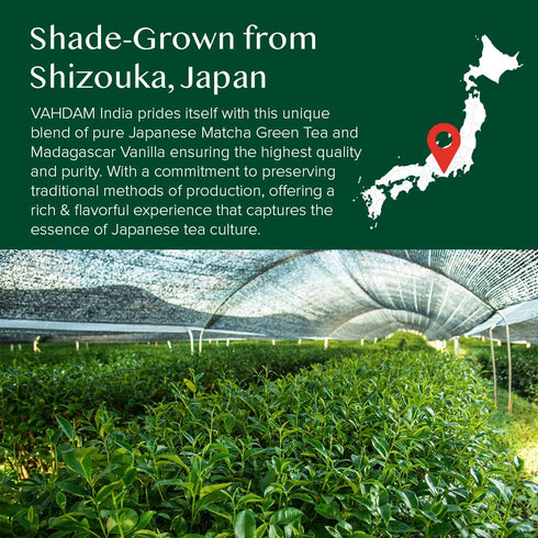 VAHDAM, Vanilla Matcha Green Tea Powder - 1.76oz | Pure Madagascar Vanilla + Premium Authentic Japanese Matcha | Hot or Iced - Vegan & Gluten-Free...