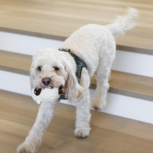 rocket & rex 3-Pack Dog Chew Toy Gift Set | Rope Toy, Rubber Squeaker Toy and Plush Toy with Ball | Puppies, Small to Medium Breeds | Safe & Non-T...
