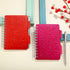 2 Pieces Portable Password Book Password Organizer Notebook Elegant Mandala Pattern Password Book Keeper with Pen, Spiral Bound Notebook for Passw...