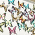 Set of 24 Piece 2" Edible Wafer Paper Big Colorful Butterflies for Cake/Cupcake (colorful)...