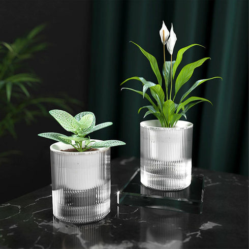 7 Inch Self Watering Pots,Clear Self-Watering Planters Box for Indoor Plants Flowers Outdoor Windowsill Gardens Comes with 1 Bag of White Pebbles...