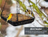 MIXXIDEA Hanging Bird Feeder Tray Metal Mesh Platform Seed Feeder with Durable Chains for Outdoors Garden Great for Attracting Birds (1 Pack)...