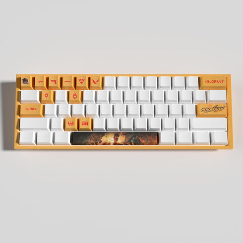 Valorant Custom Keycaps OEM Profile 14keys PBT Dye Sub Keycap Set for Mechanical Keyboards, Valorant Gift Gaming Accessories for Gamer (Phoenix)...