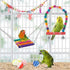 Bird Parakeet Toys,Swing Hanging Standing Chewing Toy Hammock Climbing Ladder Bird Cage Colorful Toys Suitable for Budgerigar, Parakeet, Conure, C...
