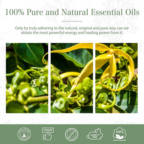 100ML Ylang Ylang Essential Oil, Premium Essential Oils for Diffuser, Humidifier, 3.38fl.oz Scented Oils for Soap, Candle Making...