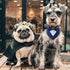 Dog Wedding Bandana, Formal Dog Tuxedo Adjustable Pet Collar with Bow, Small, Medium and Large Dog Wedding Clothing, Birthday Gifts for Dogs (Medi...