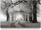 Winter Scene Canvas Wall Art: Nature Forest Landscape Prints White Snowy Trees Painting Wildlife Picture Elk Artwork for Living Room Bedroom Home ...