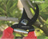 Corona BP 3214D ComfortGEL Bypass Hand Pruner, 3/4-inch cut , Red...