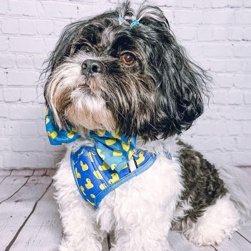 Huxley & Kent Bow Tie for Pets | Lucky Ducky (Small) | Easter Spring Velcro Bow Tie Collar Attachment | Fun Bow Ties for Dogs & Cats | Cute, Comfo...