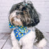 Huxley & Kent Bow Tie for Pets | Lucky Ducky (Small) | Easter Spring Velcro Bow Tie Collar Attachment | Fun Bow Ties for Dogs & Cats | Cute, Comfo...