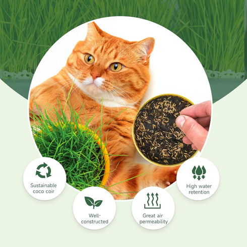 Organic Potting Soil for Indoor Cat Grass, Great Seedling Soil for Wheat Grass, bermuda, catnip, and All Indoor Herb Plants...