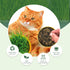 Organic Potting Soil for Indoor Cat Grass, Great Seedling Soil for Wheat Grass, bermuda, catnip, and All Indoor Herb Plants...