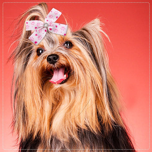 PET SHOW 50Pcs/25Pairs 4" Paw Pattern Big Dog Hair Bows Bulk with Alligator Clips for Medium Large Dogs Puppy Female Bowknot Topknot Girl Boy Pet ...