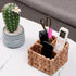 Remote Control Holder Wicker Desk Organizer Divided Storage Basket,Hand Woven Cosmetic Storage Box with 3 Compartments,Water Hyacinth Remote Contr...