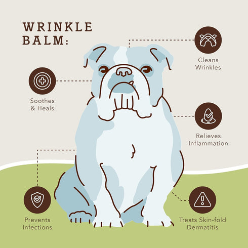 Natural Dog Company Wrinkle Balm, Travel Stick, 0.15 oz, Dog lotion for dry itchy skin, Cleans Wrinkles, Yeast Infection treatment for dogs, Plant...