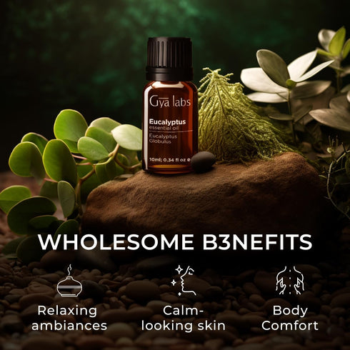 Gya Labs Eucalyptus Essential Oil for Diffuser - 0.34 Fl Oz - 100% Pure Natural Eucalyptus Oil for Skin, Humidifier, Candle Making & Aromatherapy ...