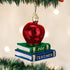 Old World Christmas Teacher Gifts Glass Blown Ornaments for Christmas Tree Apple...