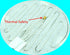 Brewing & Fermentation Heat Pad for Homebrew Beer & Wine Fermenting 120VAC 12 or 25 Watt Heating Mat: Safe for Plastic/Glass Carboy Fermentors w/H...