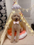 Elegant little tail Dog Collar with Bow, Birthday Cake Bow Tie Dog Collar, Cute Dog Bowtie Pet Gift Dog Collar for X-Small Puppy...