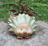 Cute Hedgehog shaped Vase Pot Home Decoration for small Succulent Plants Cartoon Flower Pot Hedgehog Succulent planter with drainage hole succulen...