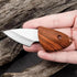 Portable Dolphin Shaped Imitation Wood Grain Draped Handle Pocket Knife 10 PACK Utility Knives 2.2Inch,Suitable for Unpacking, Fruit Cutting...