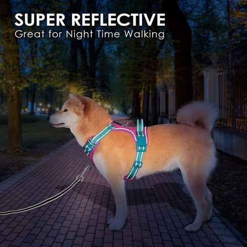 PHOEPET No Pull Dog Harness, Unique Colors Reflective Adjustable Dog Vest, with Soft Training Handle Metal Clips for Small Medium Large Dogs (Purp...