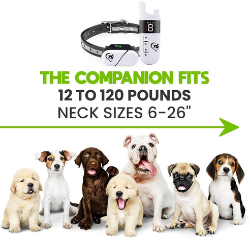 Essential Pet Products The Companion Dog Training Collar with 3 Training Modes, Beep, Vibration, Shock, 100% Waterproof, Rechargeable, Fits Small ...