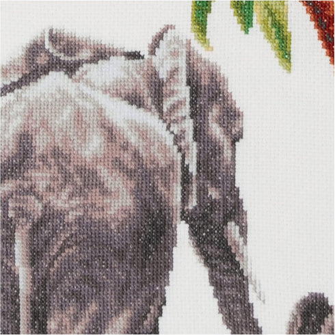 Thea GOUVERNEUR SINCE 1959 Dutch Stitch Brothers - Counted Cross Stitch Kit - DSB005A - Safari Elephant - White Aida - 15 x 9,8 Inch - Embroidery ...