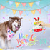 Dog Birthday Toy, Dog Birthday Cake Toy, Dog Birthday Gifts, Squeaky Plush Birthday Dog Toys for Small Medium and Large Dogs...