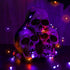 Lomotech 2 Pack Solar Lights, 33ft 100LED Orange Purple Twinkle Fairy Lights Waterproof 8 Modes Outdoor for Halloween Party DIY Decoration Black W...