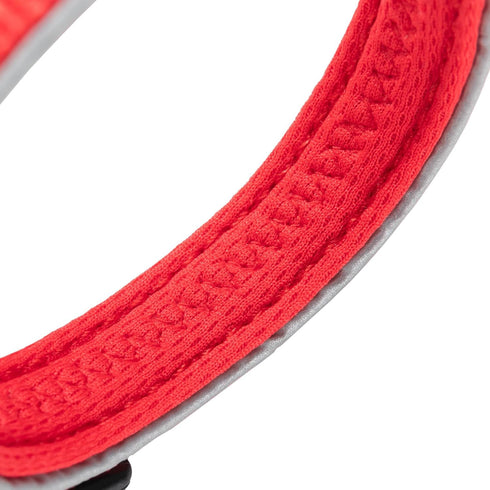 EXCELLENT ELITE SPANKER Classic Nylon Dog Collar Breathable Pet Collar with Buckle Adjustable for Small Dogs Cats Green Red Purple (Red)...