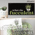 What The Fucculent Funny Stencil by StudioR12 | Craft DIY Sunroom Decor | Paint Plant Lover Sign | Reusable Mylar Template | Select Size (12 x 05....