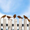 5PCS Metal Bird Silhouette with Rusty, Rusty Birds Decoration, Metal Birds Statues, Lifelike Patina Metal Birds Garden Ornaments Silhouette...