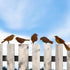 5PCS Metal Bird Silhouette with Rusty, Rusty Birds Decoration, Metal Birds Statues, Lifelike Patina Metal Birds Garden Ornaments Silhouette...