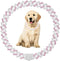 Pink Dog Necklace,Bling Dog Chain Collars Diamond Cuban Link Dog Collar Rhinestone Cat Chain Sparkly Glitter Girls Female Kitten Puppy Necklace fo...